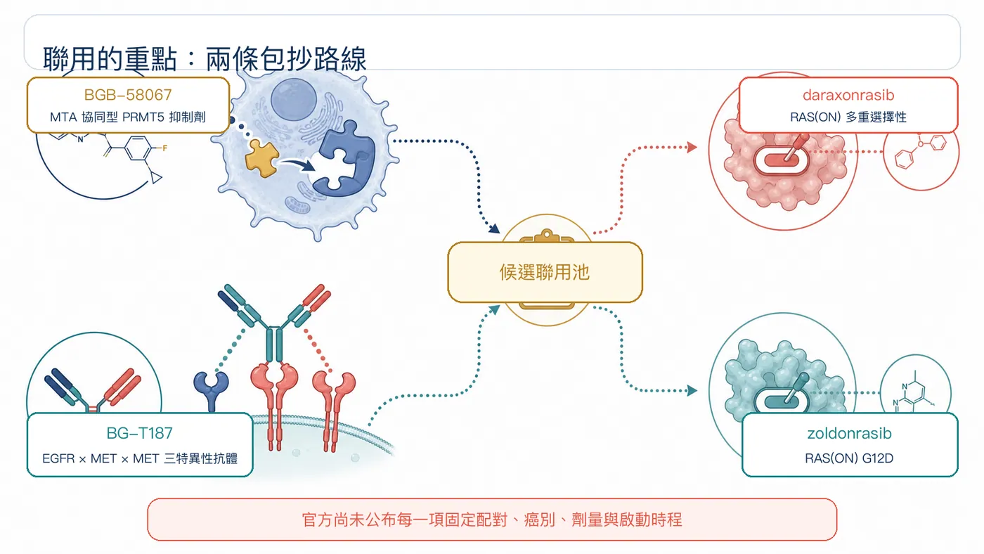 圖 2｜BGB-58067 與 BG-T187 可望搭配 daraxonrasib 或 zoldonrasib，但固定配對、癌別、劑量與時程尚未公布