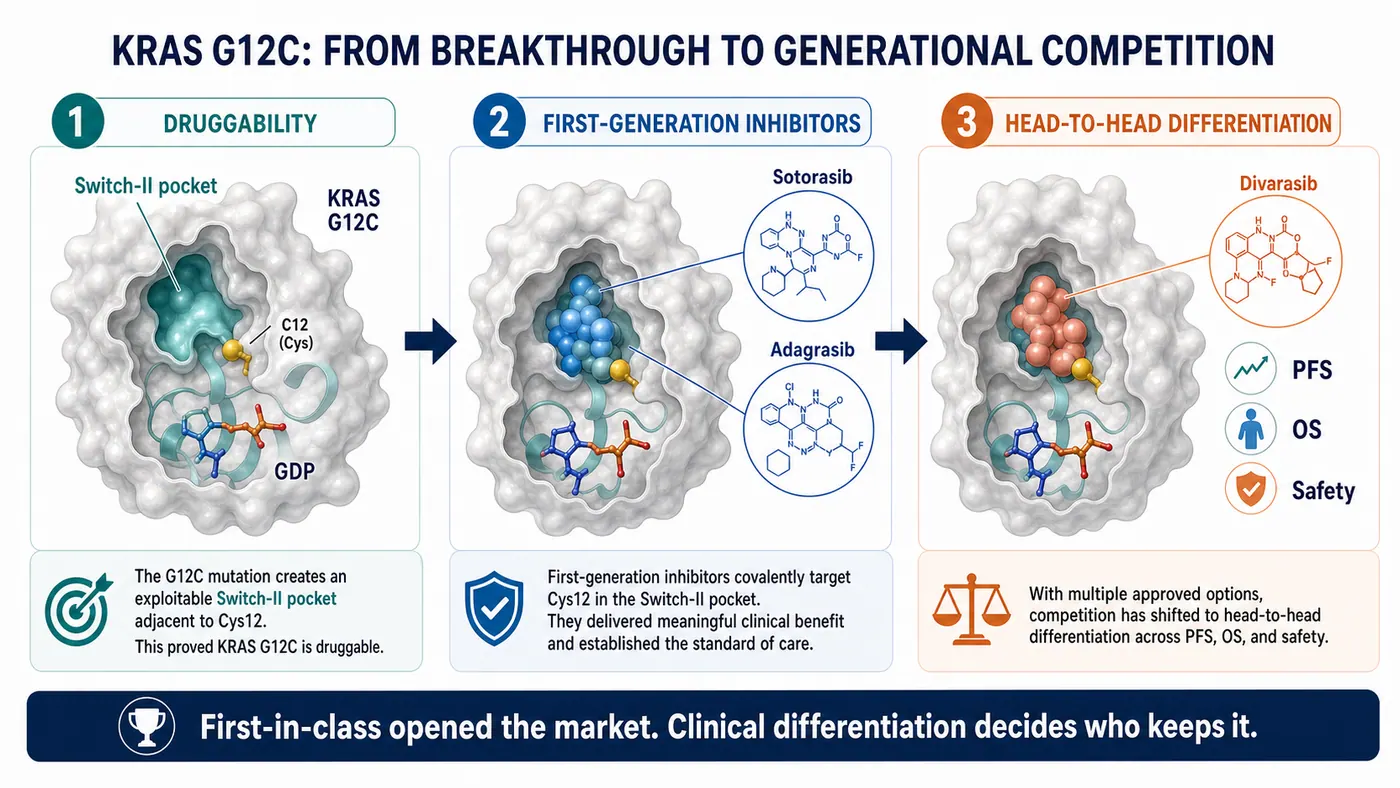KRAS G12C moves from proving druggability to generational head-to-head competition