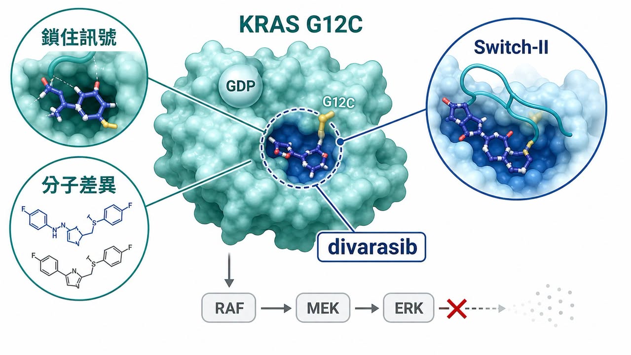 divarasib 鎖定 KRAS G12C Switch-II 口袋並阻斷 RAF-MEK-ERK 訊號