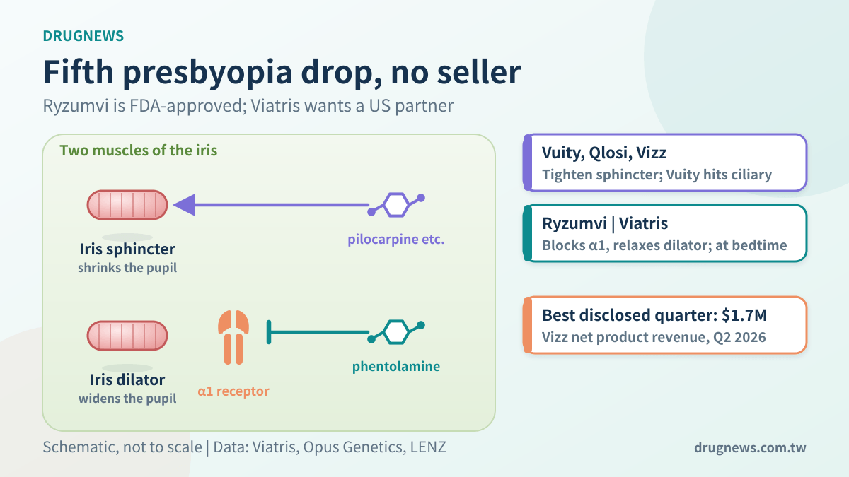 Presbyopia drop mechanism: pilocarpine-type drugs tighten the iris sphincter; Ryzumvi (phentolamine) blocks alpha-1 receptors to relax the dilator
