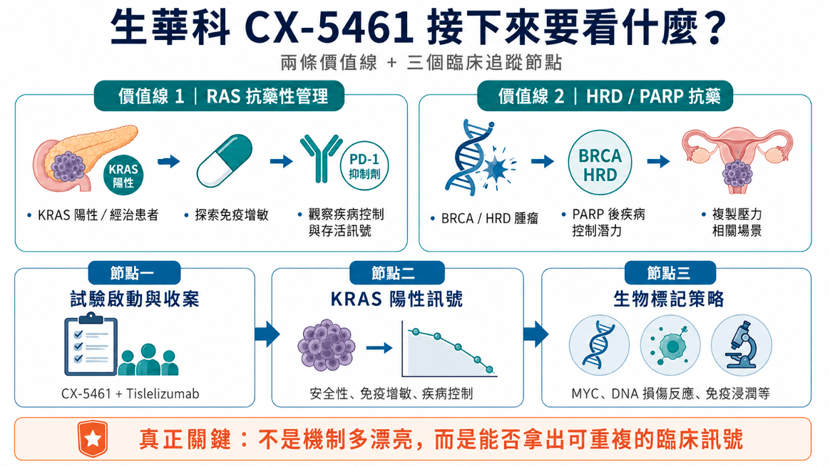 生華科 CX-5461 接下來要看的，是 RAS 抗藥性管理與 HRD / PARP 抗藥兩條價值線，以及試驗啟動收案、KRAS 陽性訊號與生物標記策略三個臨床追蹤節點。