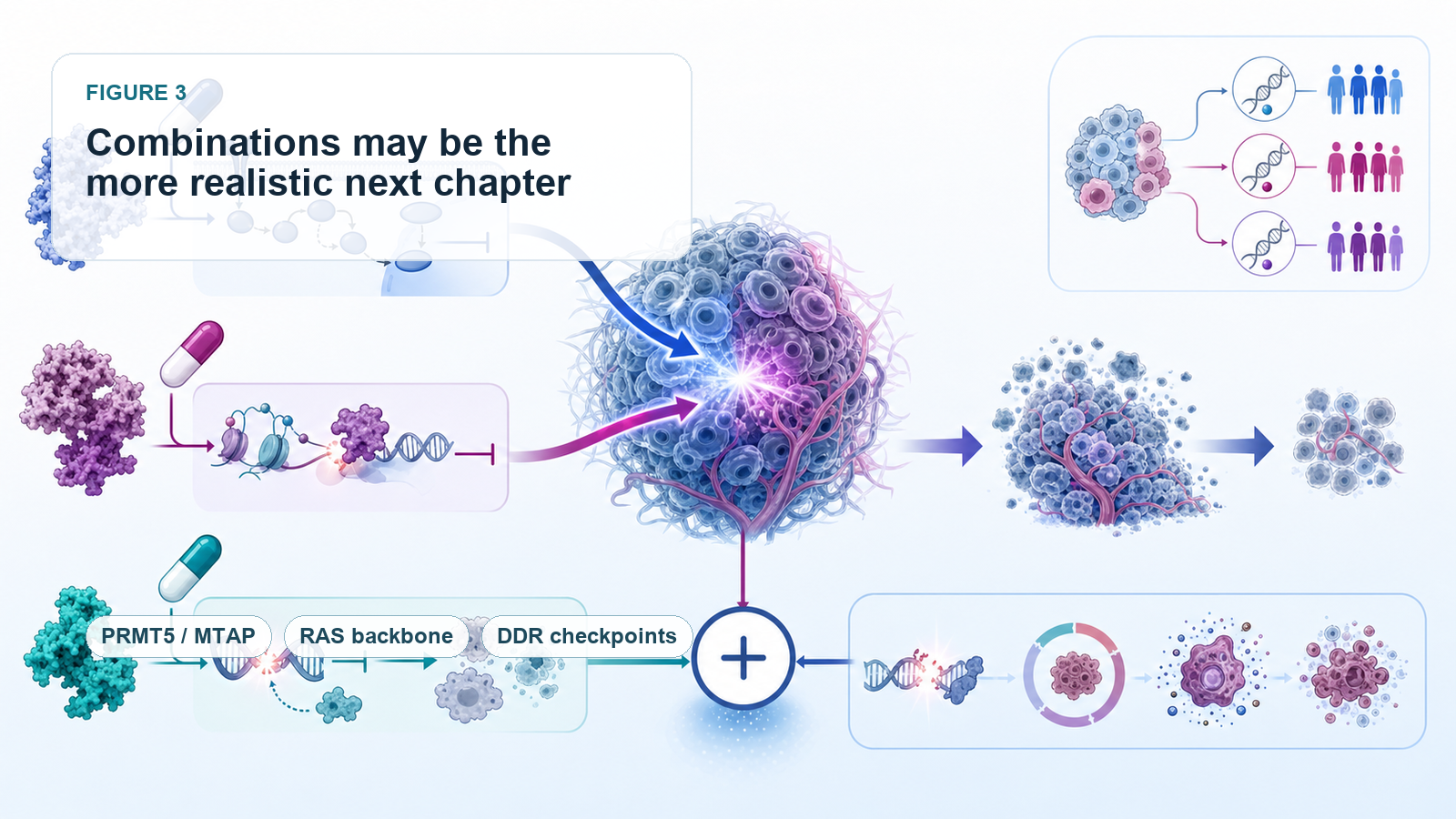 Combination therapy may turn synthetic lethality into an amplifier of stronger oncology backbones