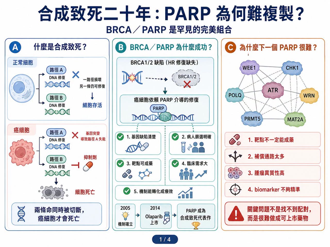 Facebook 原圖:合成致死二十年:為什麼 PARP 之後,下一個神藥遲遲沒有出現?(圖 1)