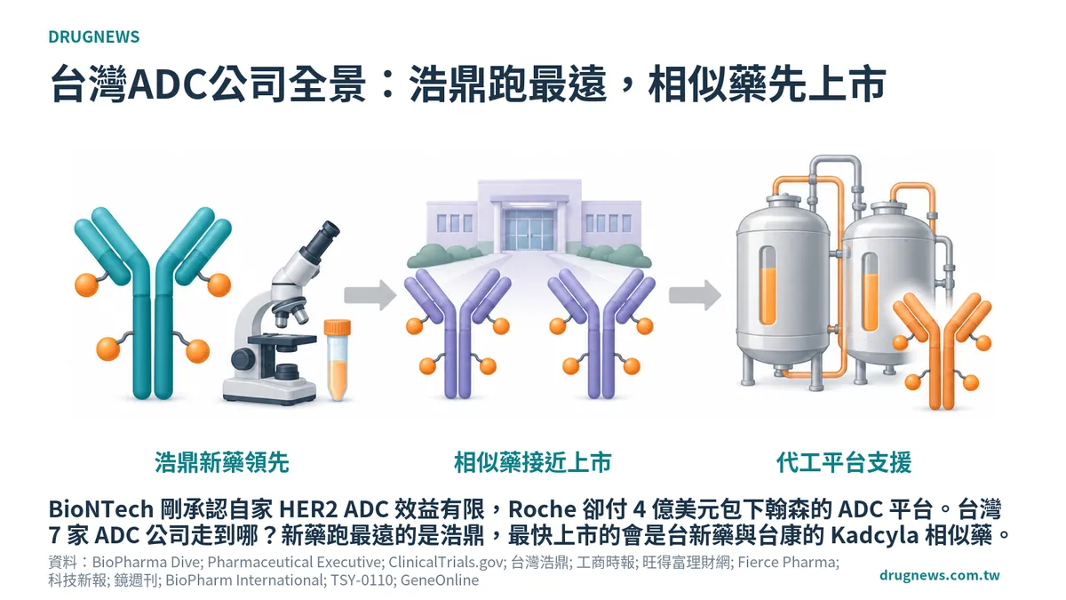 示意圖：ADC 抗體帶著彈頭攻擊癌細胞，旁列浩鼎、台新藥與台康、代工三條路