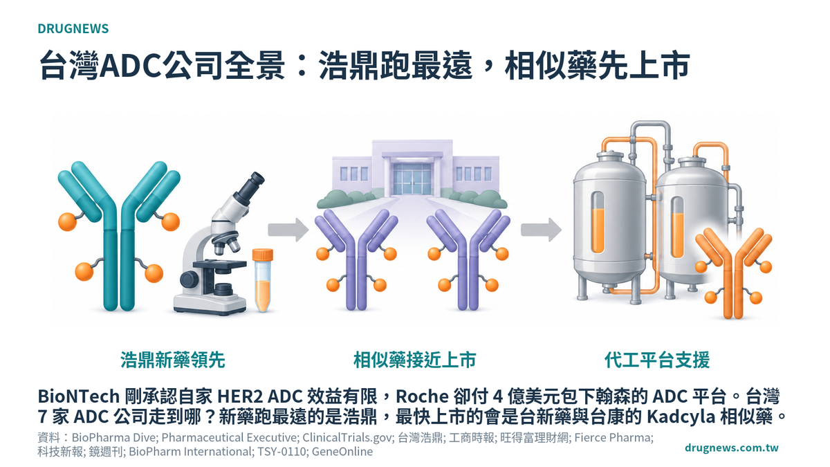 示意圖:ADC 抗體帶著彈頭攻擊癌細胞,旁列浩鼎、台新藥與台康、代工三條路