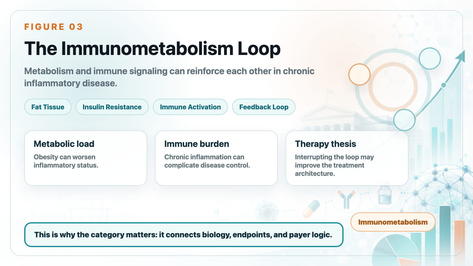 Immunometabolism loop between obesity and inflammation