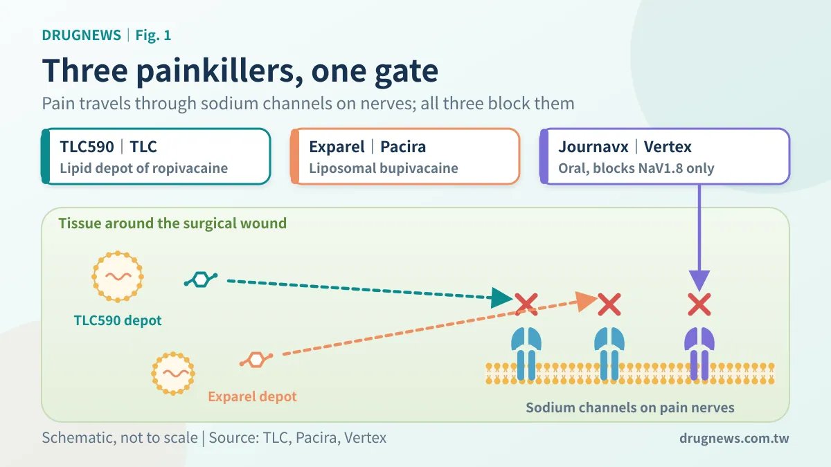 Fig. 1 | Three painkillers, one gate