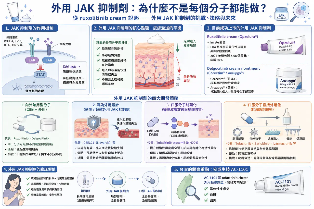 外用 JAK 抑制劑文章原圖