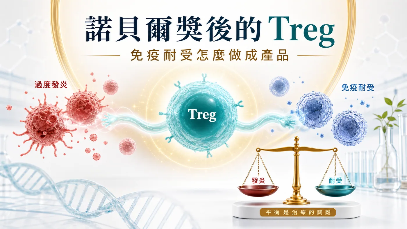 Treg 科學從免疫耐受概念走向可製造、可追蹤與可交付的細胞產品