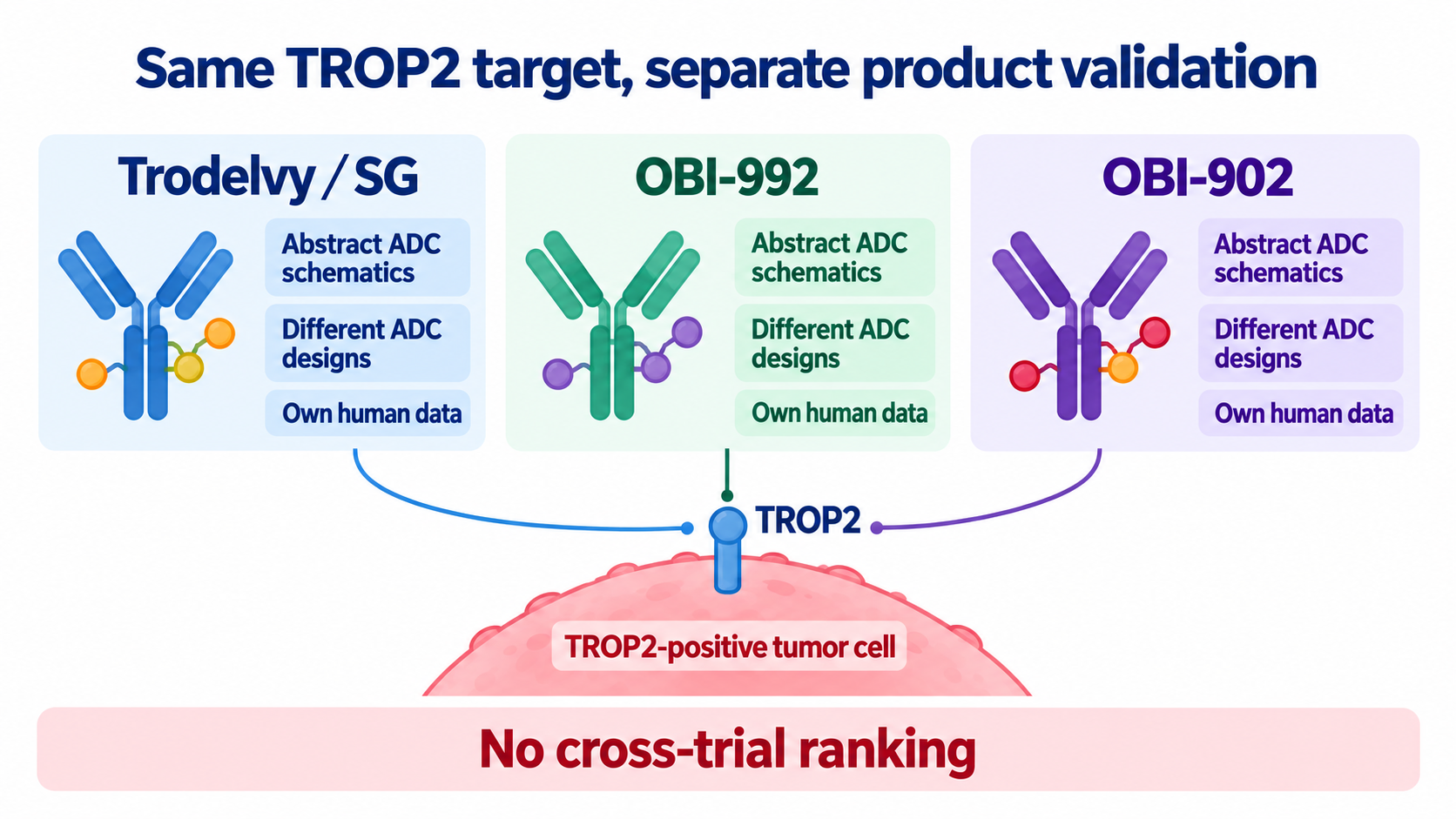 A central TROP2-positive tumor cell with membrane markers connects to three distinct abstract ADCs: Trodelvy, OBI-992 and OBI-902. Each needs its own human evidence; no cross-trial ranking or adjacent supply-chain companies are shown.
