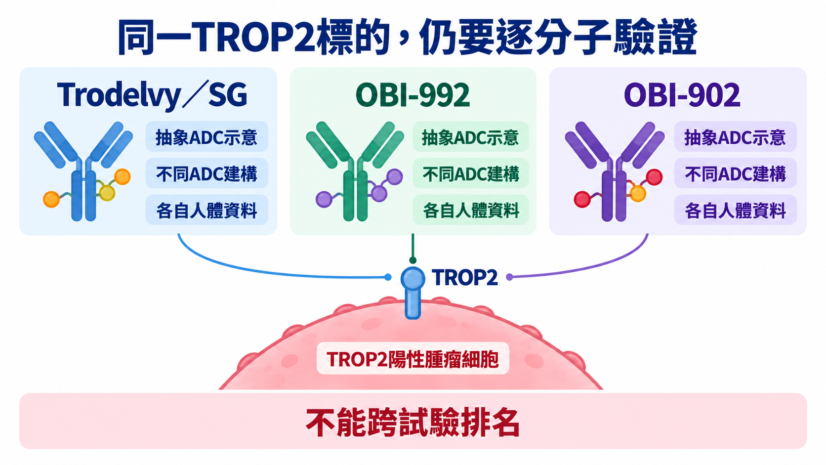 中央TROP2陽性腫瘤細胞的膜上標記連向Trodelvy、OBI-992與OBI-902三種不同抽象ADC；強調各自人體資料與不可跨試驗排名。沒有相鄰供應鏈公司列或療效比較數字。