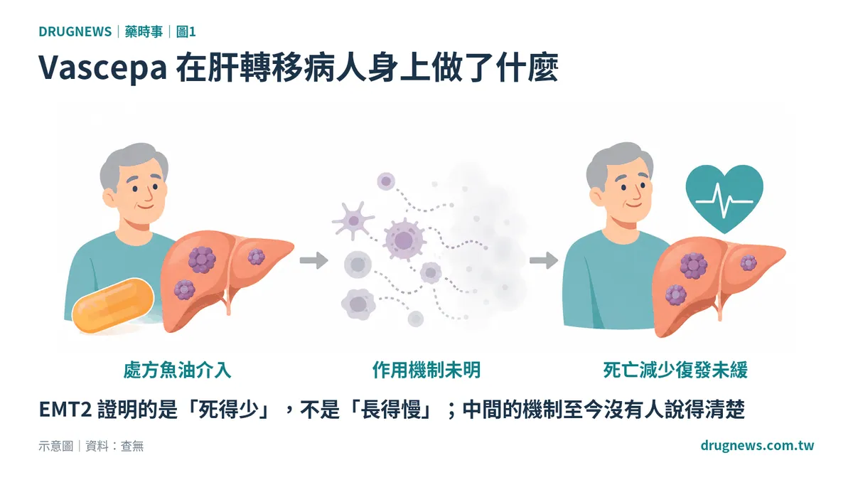 圖1｜Vascepa 在肝轉移病人身上做了什麼