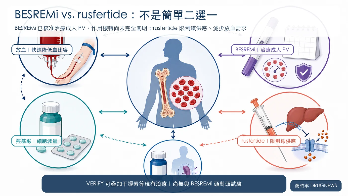 圖 4｜BESREMi 與 rusfertide 並非簡單二選一；VERIFY 可疊加干擾素等現有治療，且尚無兩者頭對頭試驗