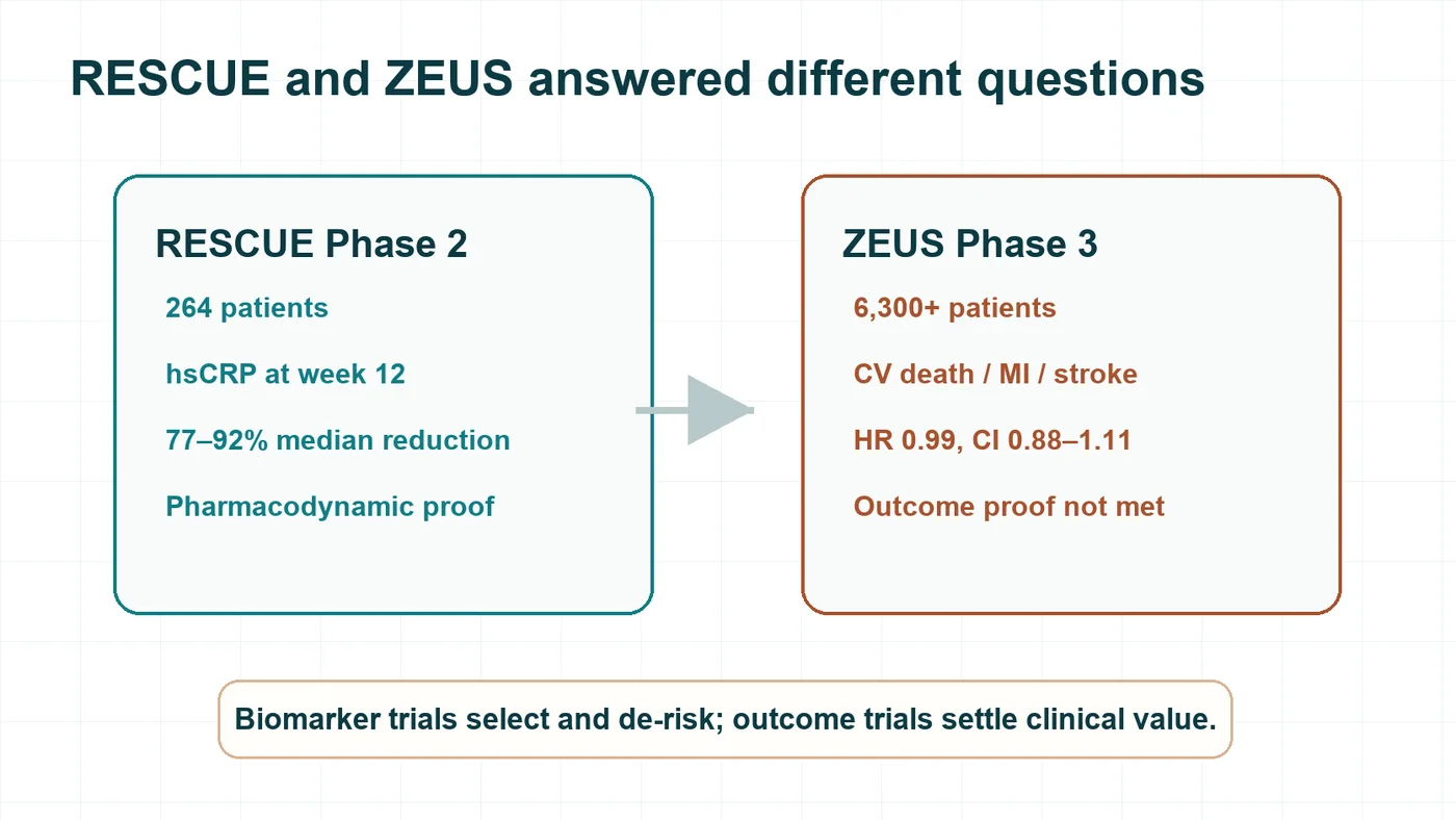 Figure 2 | RESCUE and ZEUS answered different questions: biomarker response is not outcome proof.