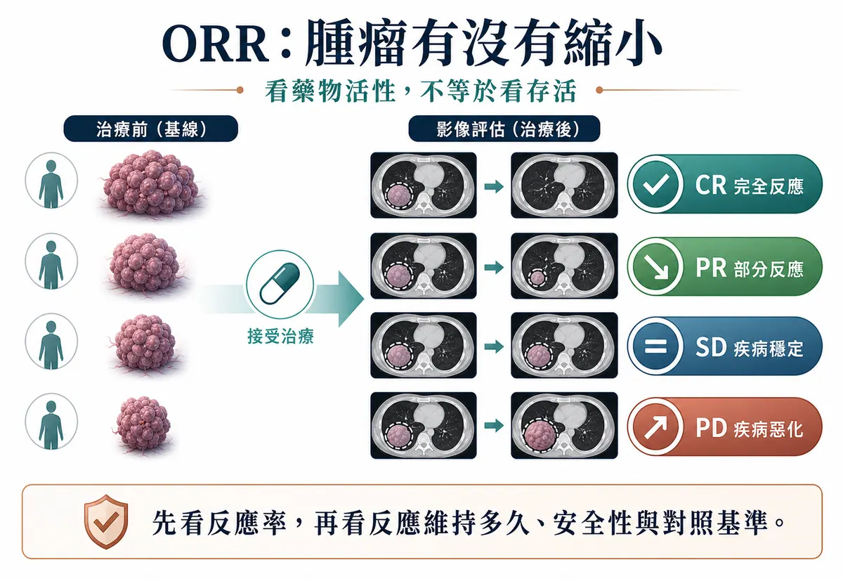 ORR：腫瘤有沒有縮小。看藥物活性，不等於看存活。