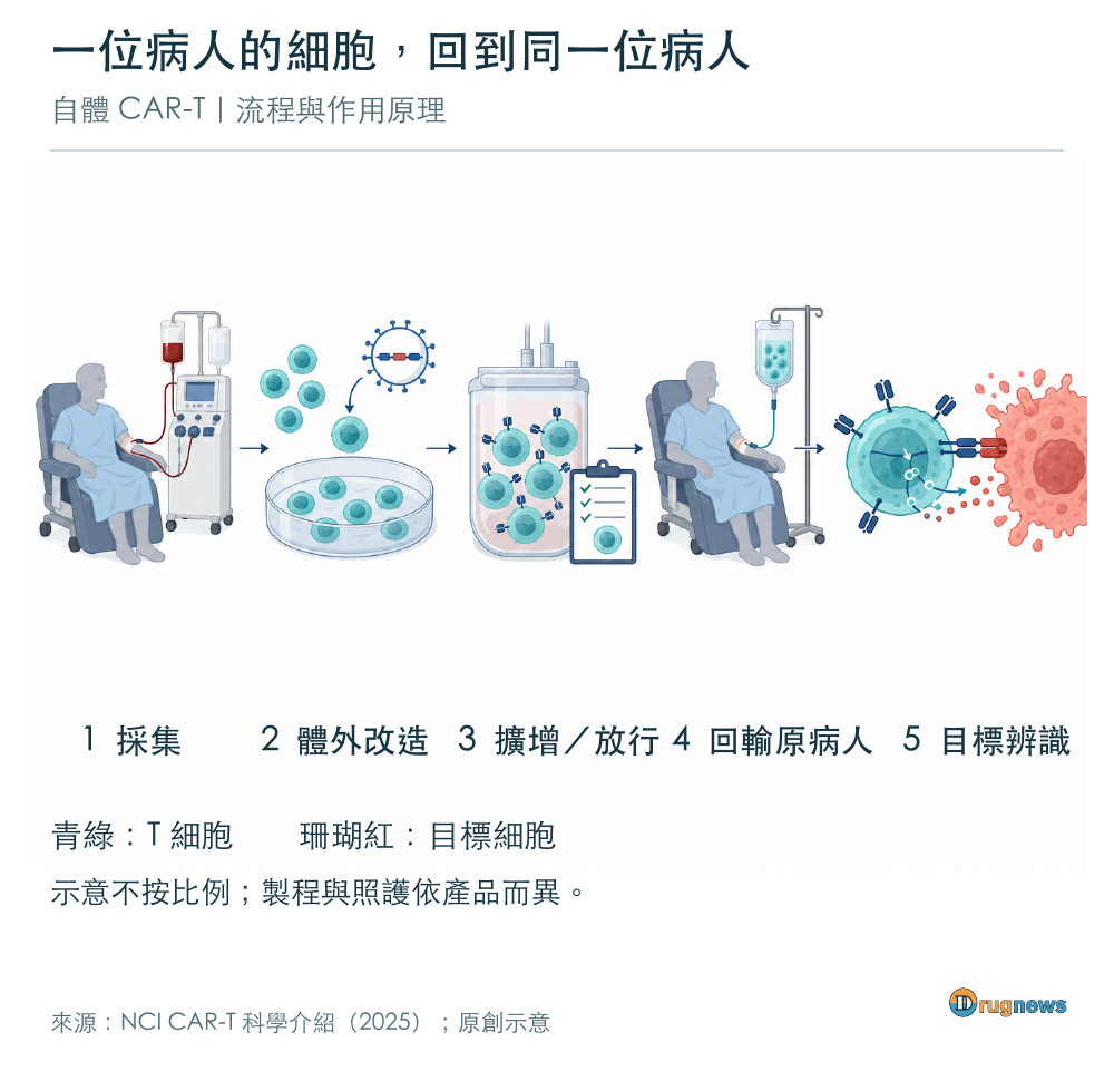 圖1｜自體 CAR-T 的五個環節：採集、改造、擴增與放行、回輸原病人、辨識目標細胞
