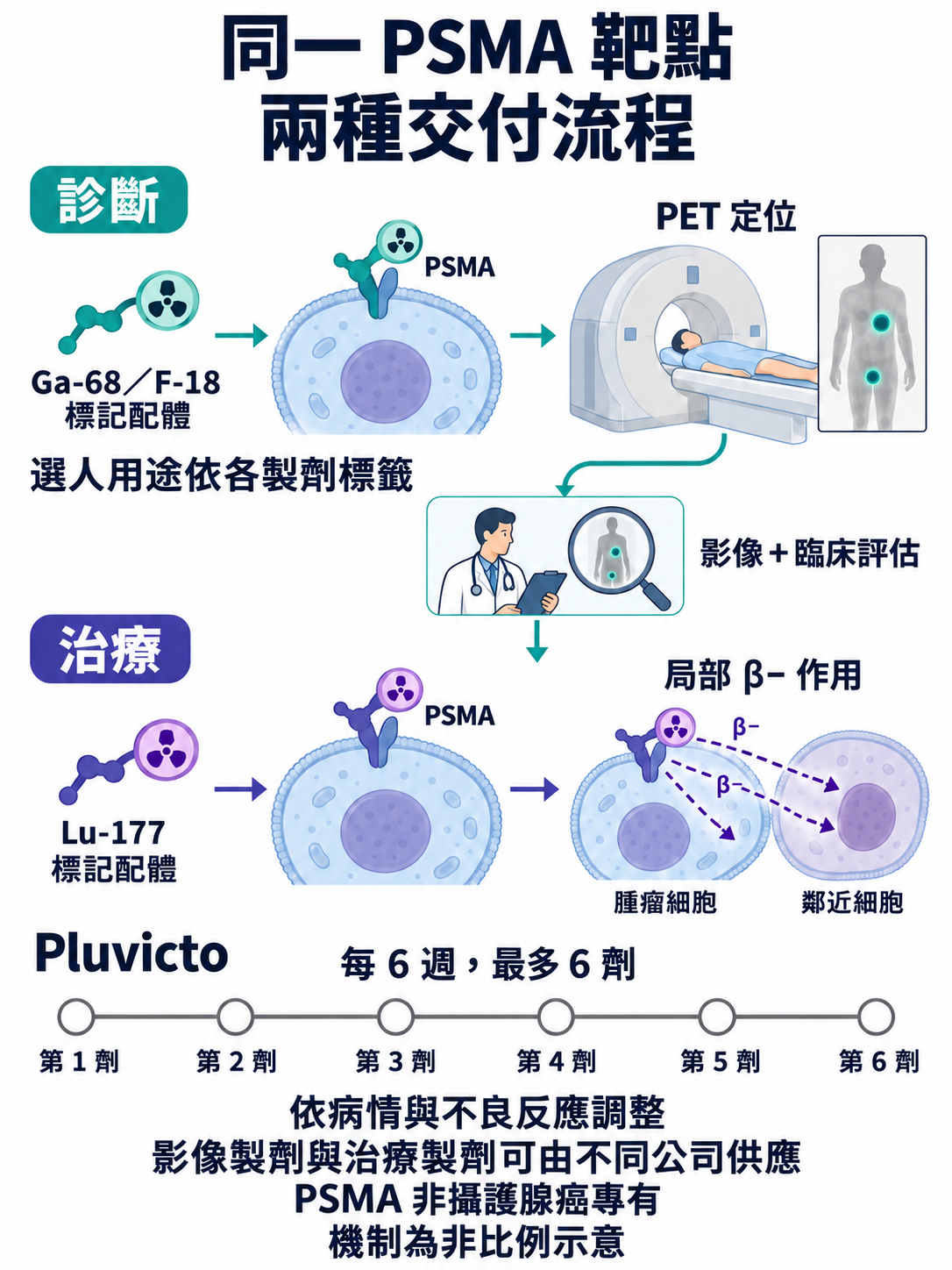 上下兩條 PSMA 路徑:Ga-68 或 F-18 標記配體結合 PSMA 後供 PET 定位,選人用途依標籤並須臨床評估;Lu-177 標記配體結合 PSMA 後以局部 β− 作用影響細胞及鄰近細胞。下方 Pluvicto 時間線標明每 6 週、最多 6 劑,依病情與不良反應調整;PSMA 非攝護腺癌專有。
